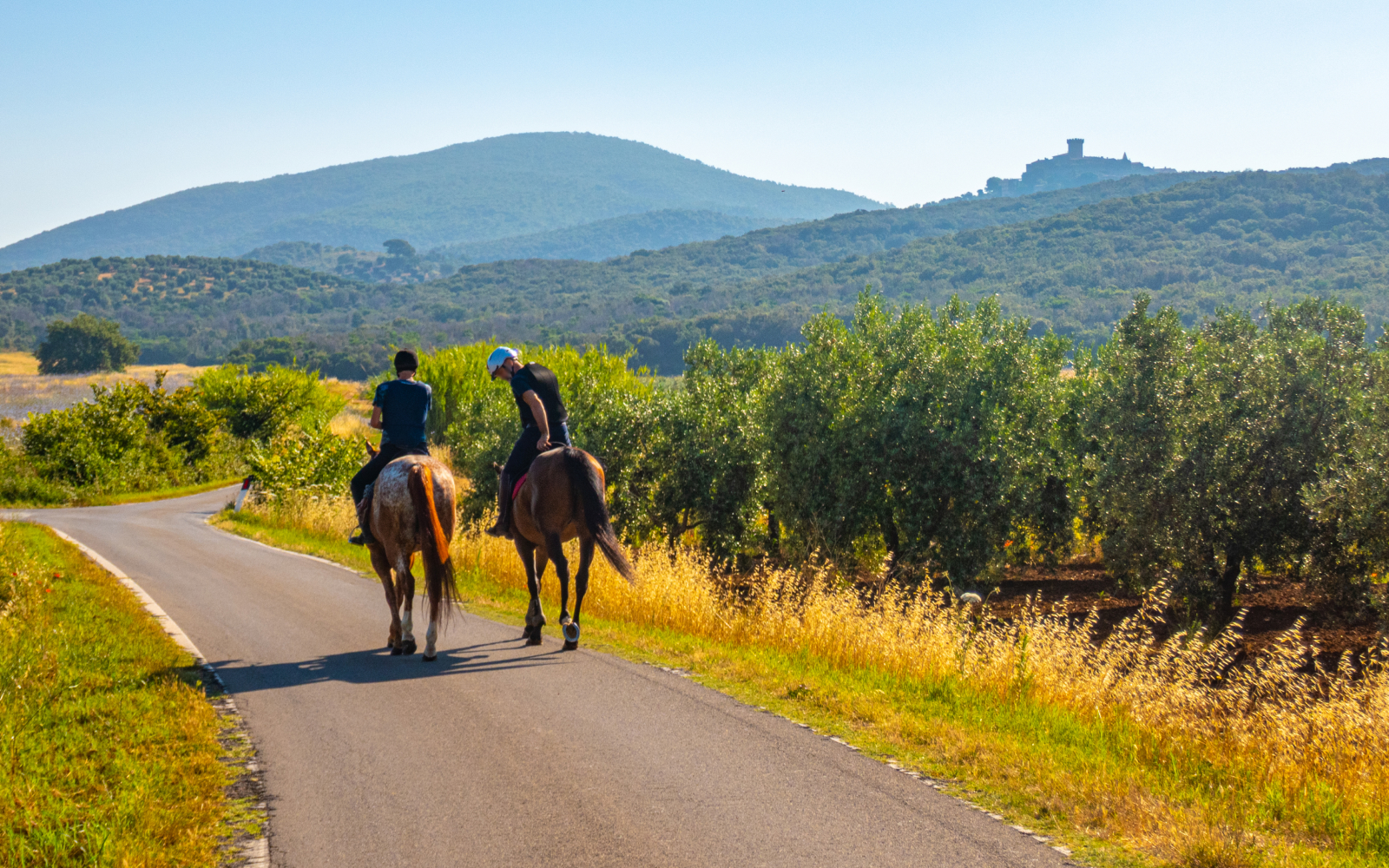 Dormire vicino a un maneggio nel Lazio: equitazione e natura tra Mentana e Monterotondo
